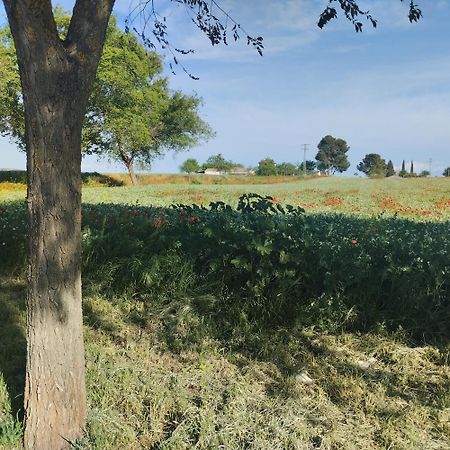 Casa Rural El Realengo Las Casas  Екстериор снимка